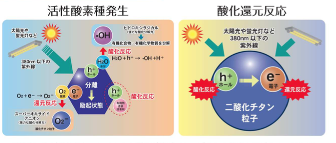 光触媒の基本原理