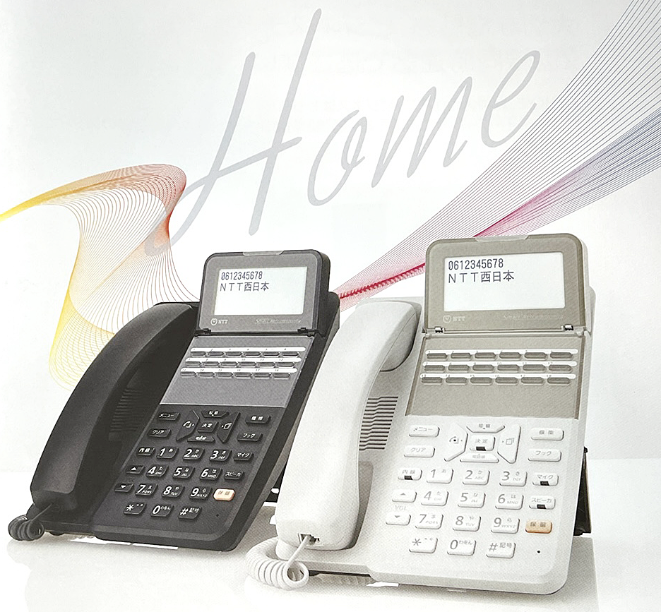 NTT αZX2 Home