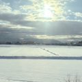 トビラフォンBiz。全拠点に導入(滋賀県長浜市)