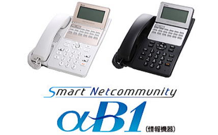 NTT ビジネスフォン スマートネットコミュニティ αNX2 主装置+spbgp44.ru
